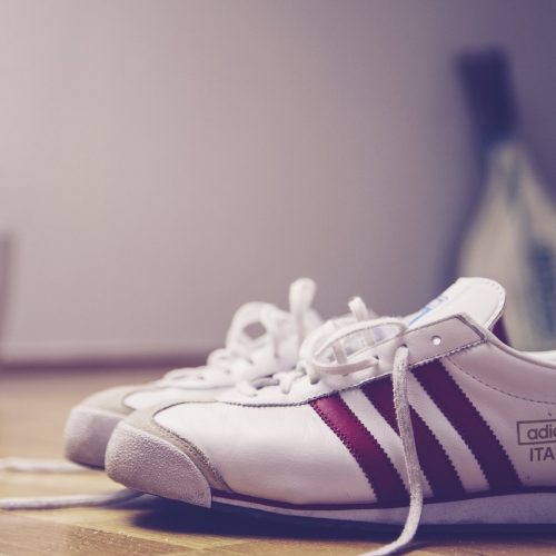 sneaker-shoes-laces-775699 sneaker, shoes, laces-775699.jpg